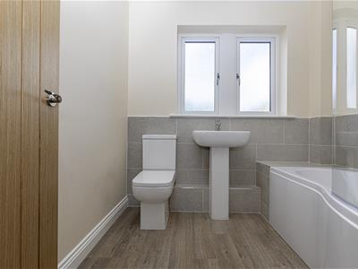 Picture 22